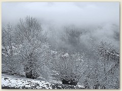01_Januar 2016 - Schneearmer Monat