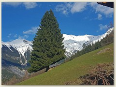19_Vom Chalet aus gesehen:  der schneebedeckte Piz Miezgi und das Tällistock