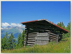 11 Am Wegrand entdeckt