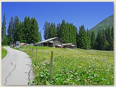 21 Der Maiensäss Imschlacht 1580 m